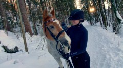 Winterwonderland am Waldhof